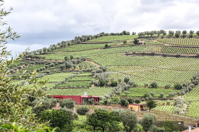 Quinta dos Padrinhos