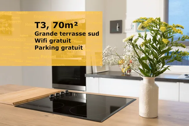 Gîte des Bons Amis Dijon ville (T3 tout équipé pour 6, 2 chambres, 70m², grande terrasse, parking, Wifi)