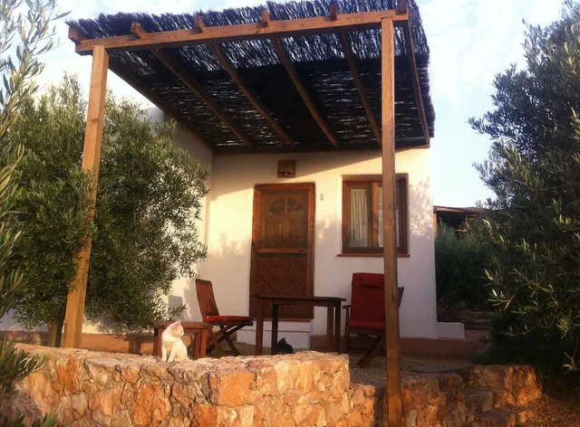 El Rincón de los Albaricoques