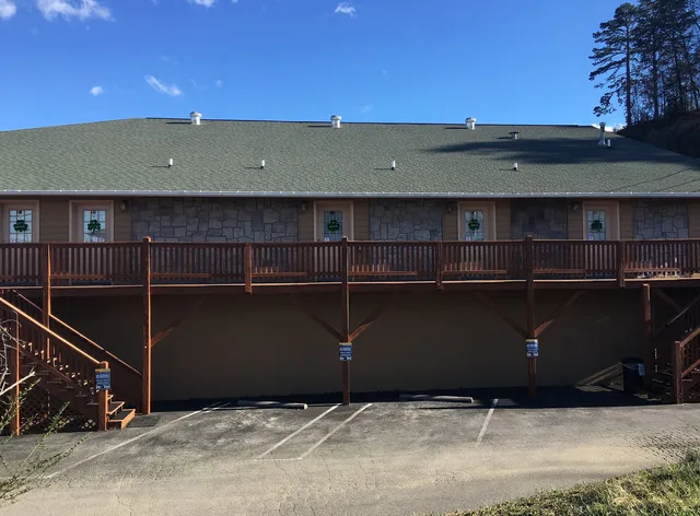 Bear Camp By The Night