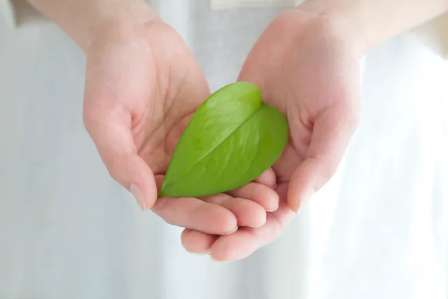 Amy's Skin Care- Eminence Organic Skin Care Facials