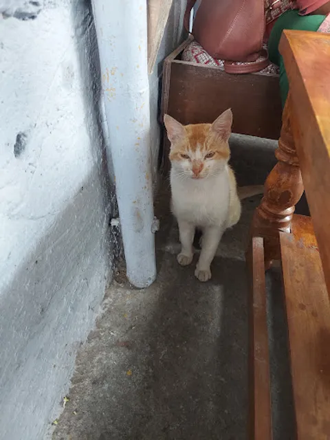 Farm To Table Restaurant🍽