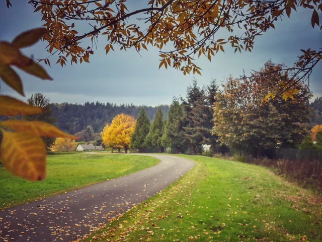 Boeing Green River Picnic Spot