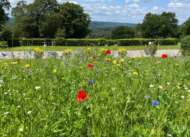 Deanwood Holiday Cottages & Campsite