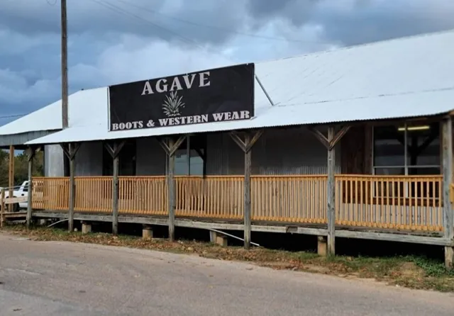 Agaves Western