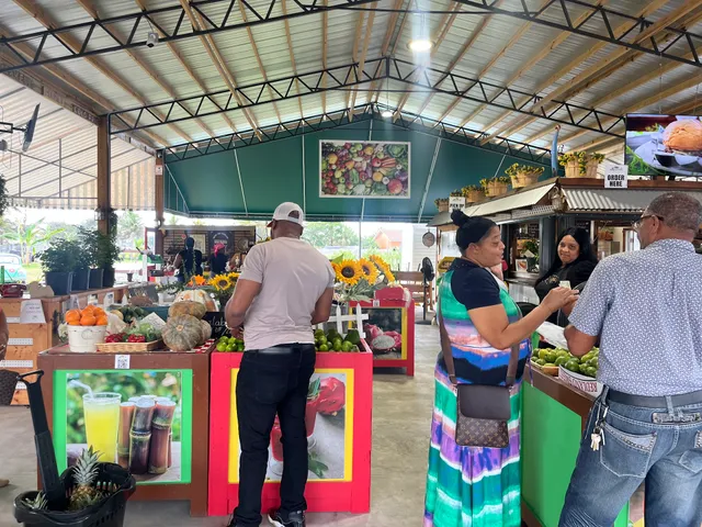 Villa Verde Farmer's Market