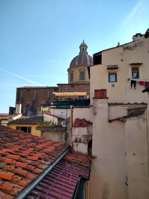 Piccolo Iris Firenze