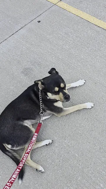 Franzetti's Pantry Plus