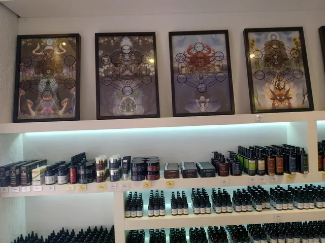 AlkhemyLab by Joel Aleixo - Loja