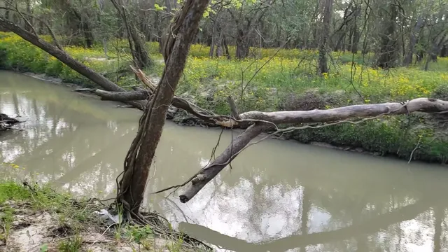 Bear Creek to langham Creek Trail