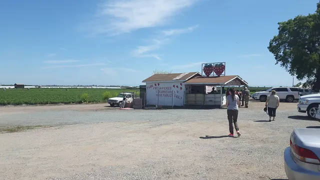 Strawberry Fields Local Grown