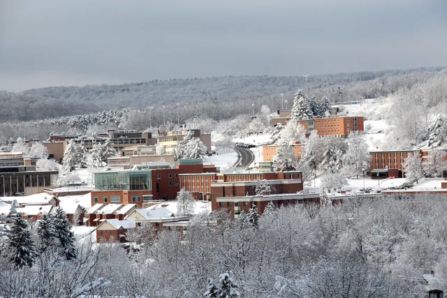 Alfred State College