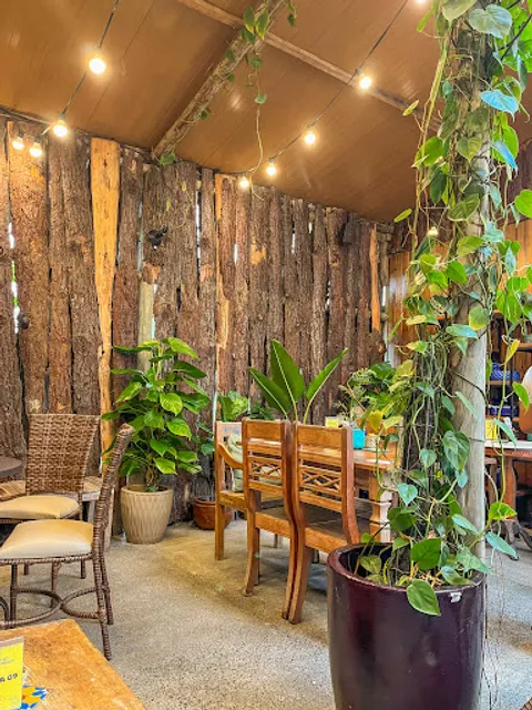 Cafeteria Espaço Biofílico - Café e plantas