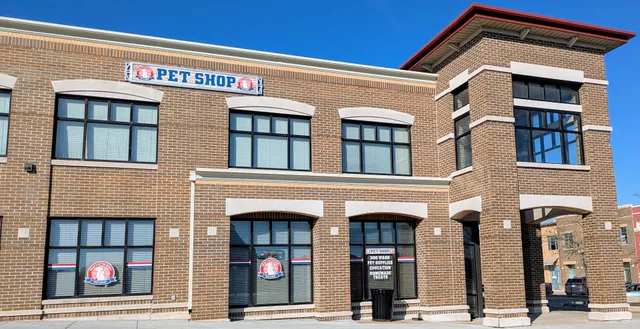 Whats In The Bowl Pet Shop