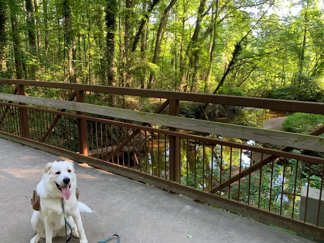 A.L. Burruss Nature Park