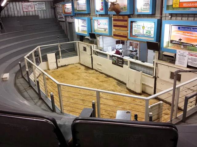 Glacial Lakes Livestock