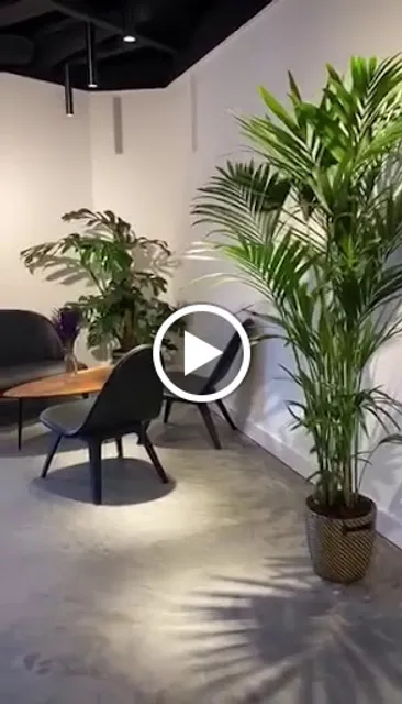 Copenhagen Coffee Lab