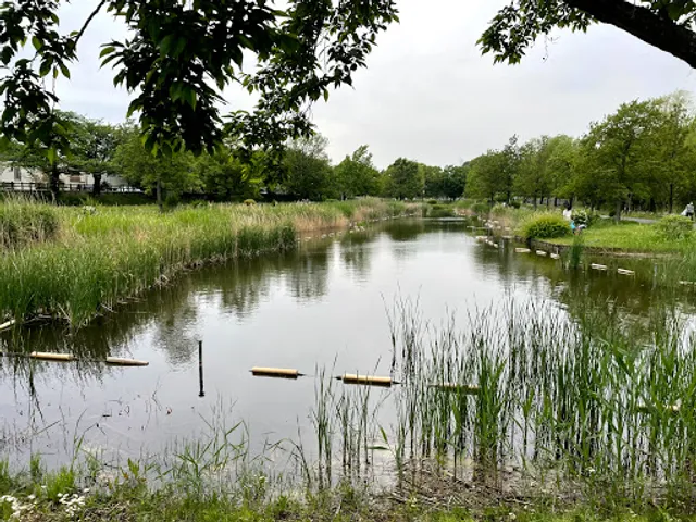 Waterside Creatures Museum