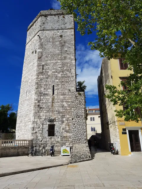 Tinel B&B Premium Edition