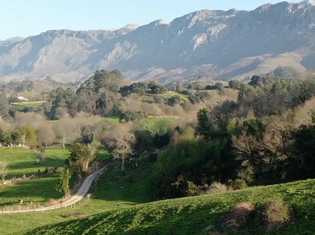 Apartamentos La Tienda de Porrúa