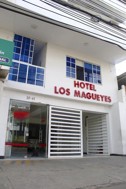 Hotel Los Magueyes