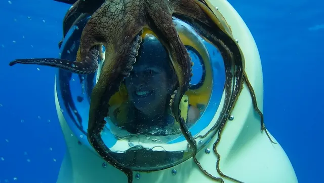 Bob's Hawaii Adventure