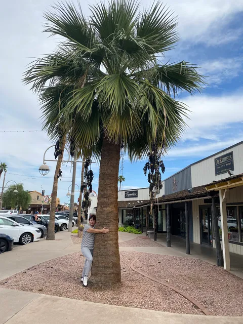 DeRubeis Fine Art of Metal Scottsdale