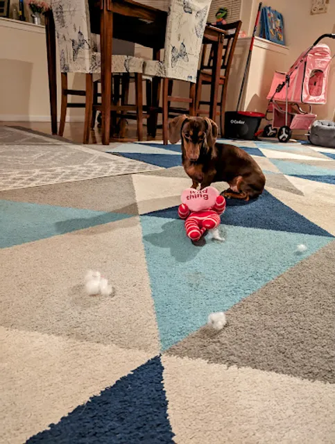 It's 5 O'Clock Somewhere Bar