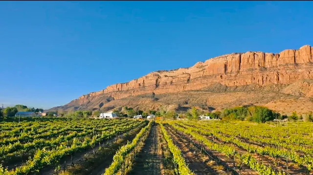 Spanish Valley Vineyard & Winery