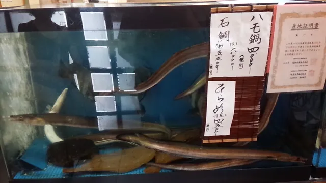 photo-3