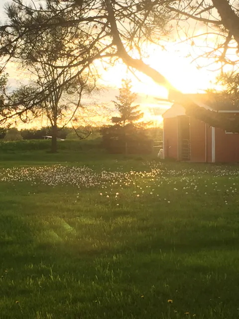 The Grazing Life Farms