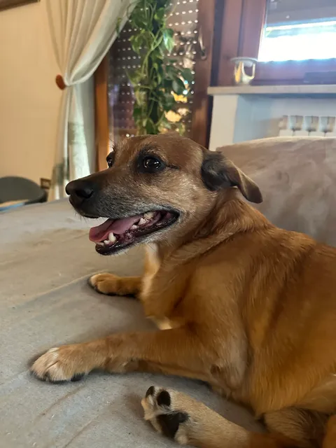 Sushi da Luga (Fa un sushi del porcoddio)