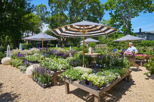 East Hampton Gardens