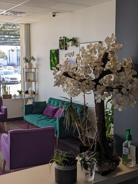 Collective Wellness and Spa