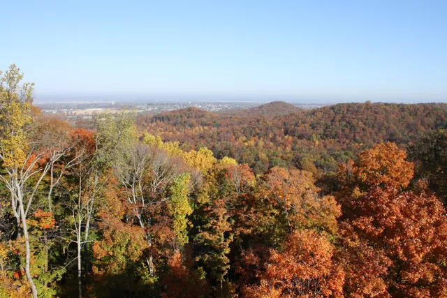 Jackson-Washington State Forest