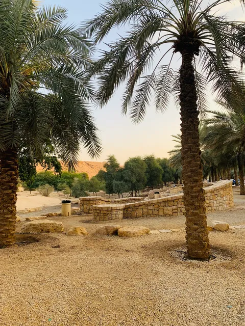 Wadi Hanifa Garden