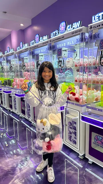 Craft Land Claw Machine