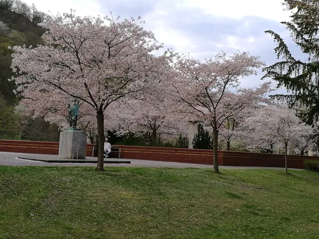 Apartment Villa Elisa