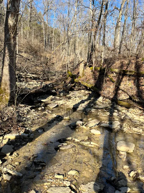 Waterfalls on Karst Climb Trail