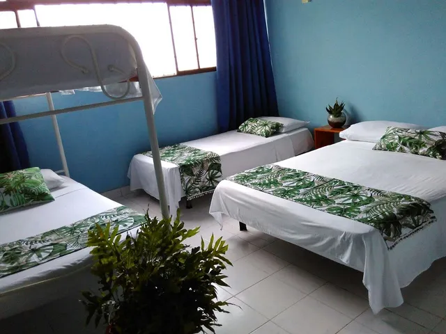 Bight View (Alojamiento Turístico)