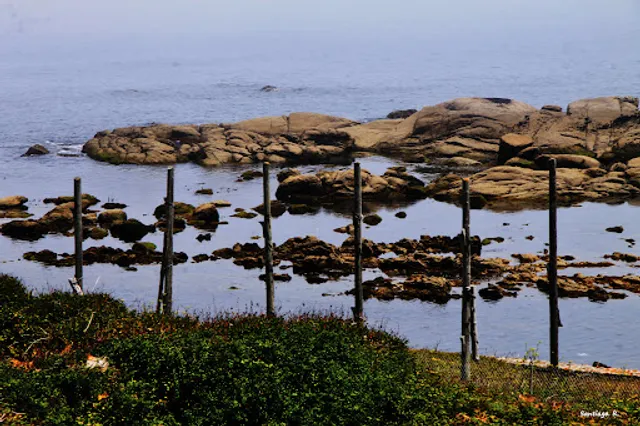 Secadoiro de congros