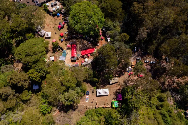 Organic Farmers Market