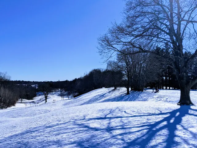 Capital Hills at Albany