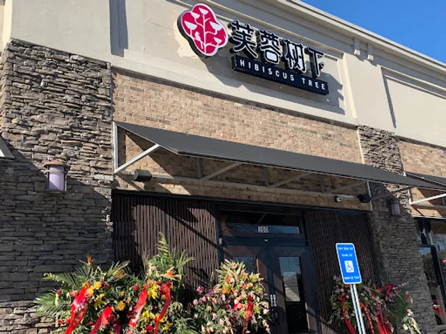 Hibiscus Tree (芙蓉树下)