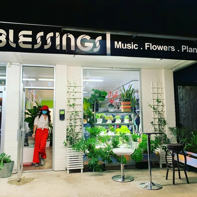 Blessings Plants & Music houston