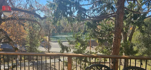 The Cozy Mountain Cabin