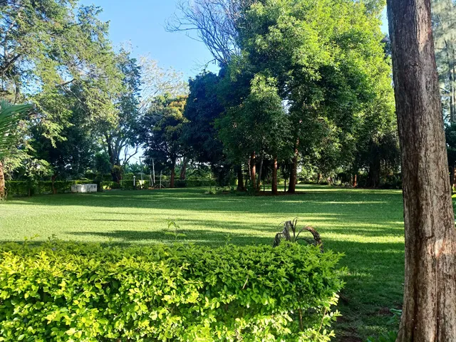 NICK'S AND ESSY'S PLACE