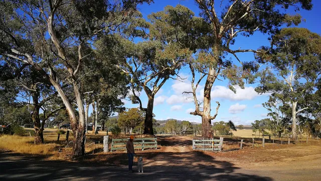 Clunes Bushland Reserve
