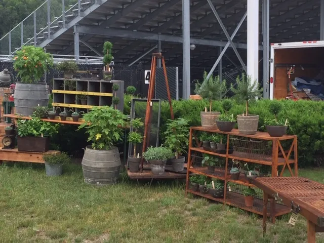 Petoskey Antiques Show