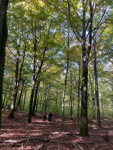 Frostavallen - Ullstorp